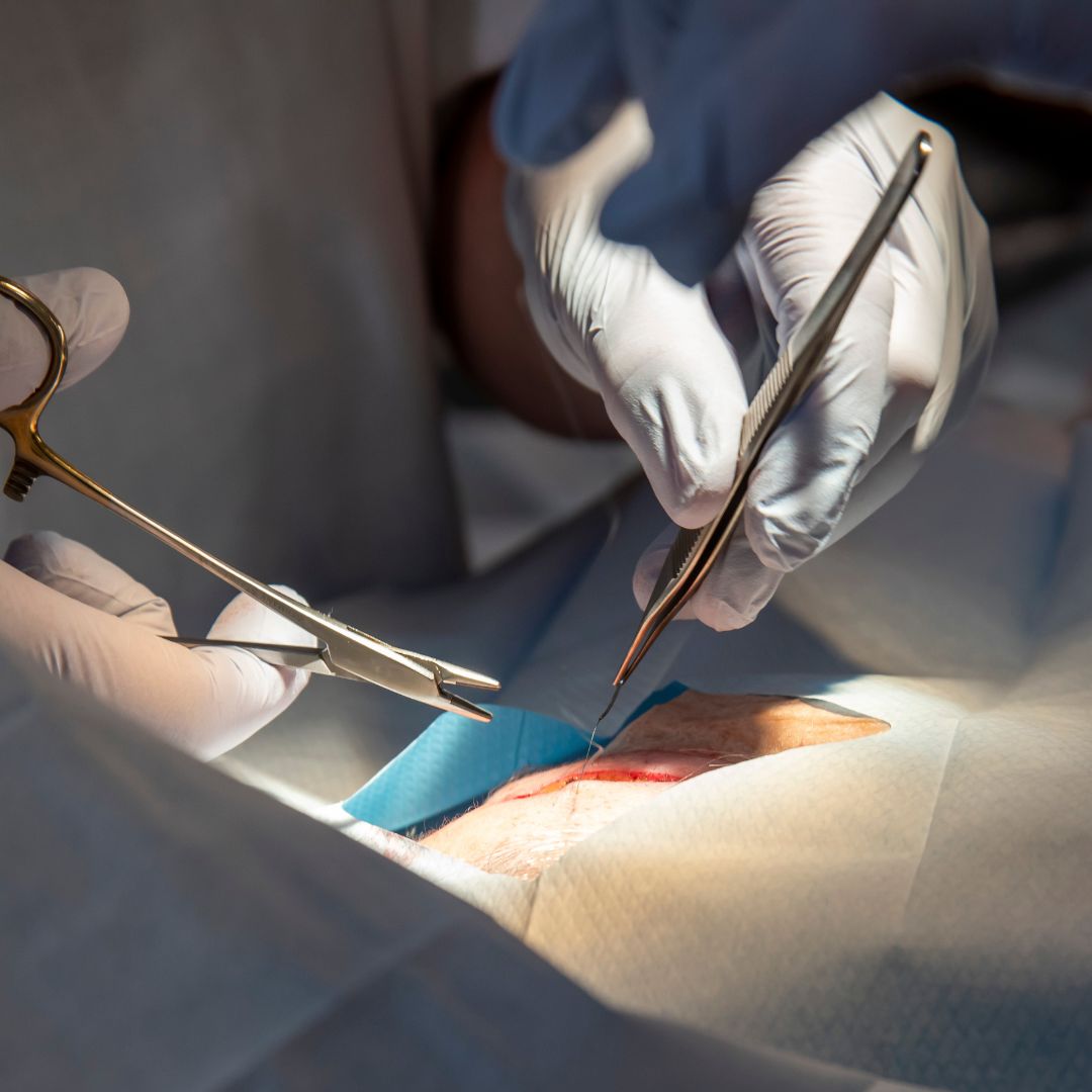 Diseño sin título (8)